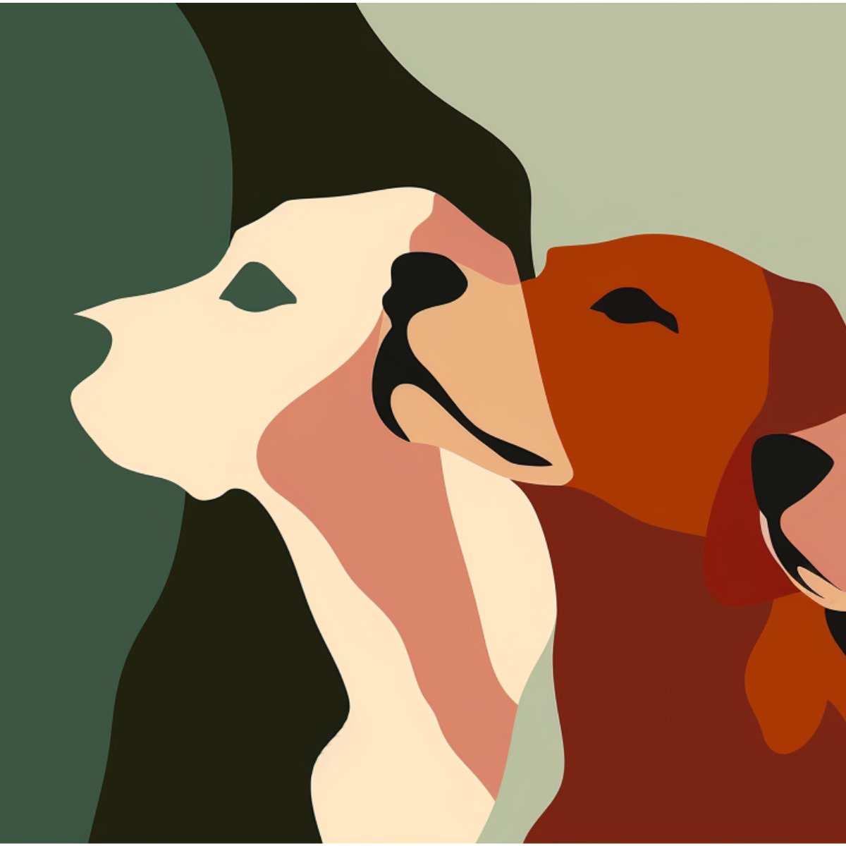 Collection banner